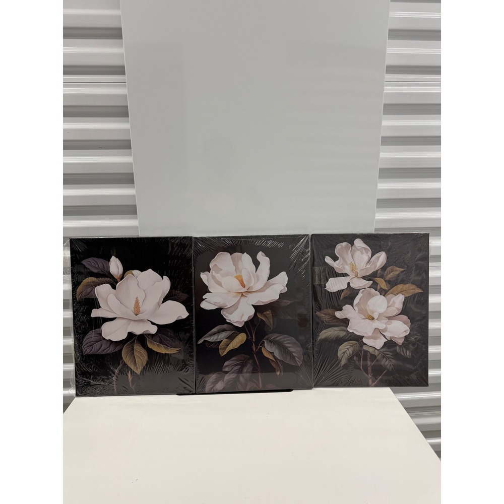 3 Piece Magnolia Floral Canvas Wall Art Set White Flowers Black Background 12x16